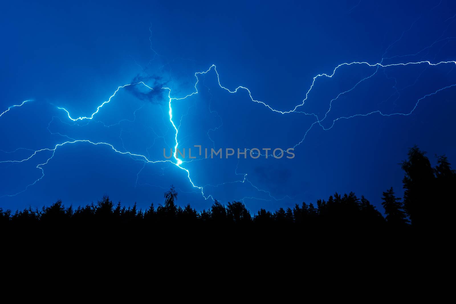 Lightning strike on a dark blue sky over the forest silhouette