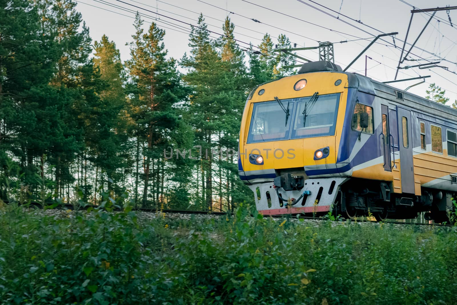 Passenger electric train moving through forest in Riga