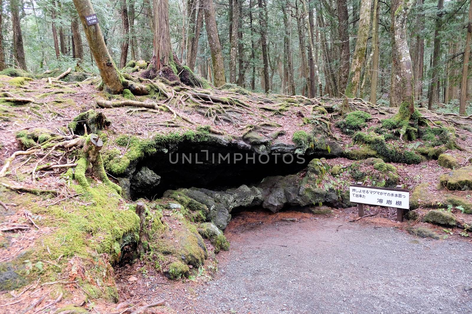 Ice Cave Entrance, Aokigahara Forest