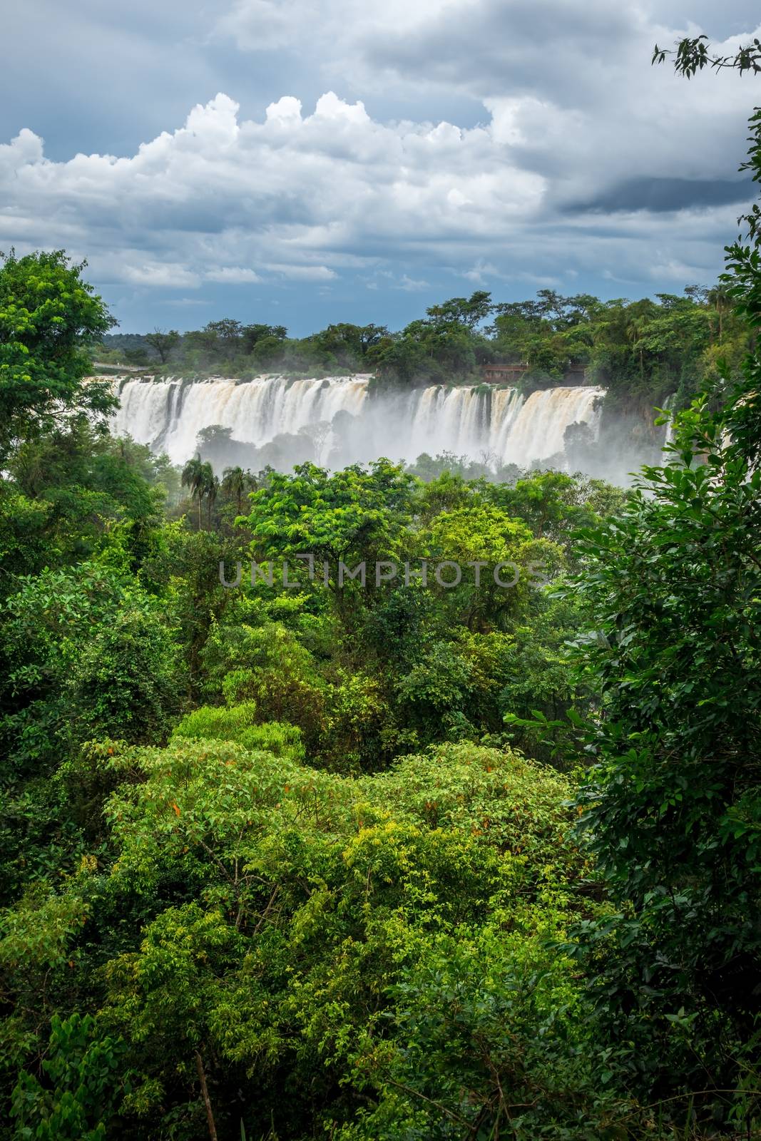 iguazu falls national park. tropical waterfalls and rainforest landscape