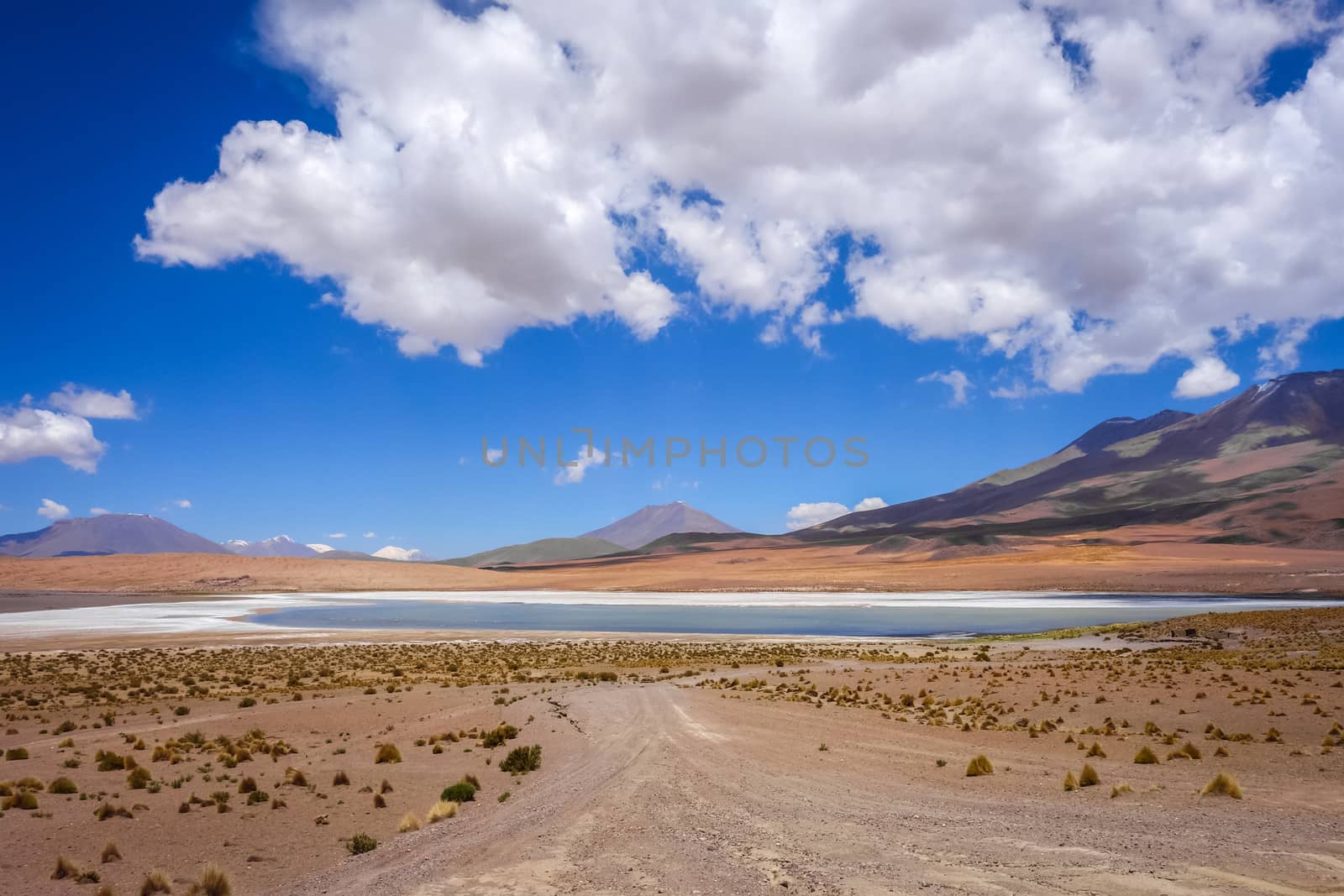 Altiplano laguna in sud Lipez reserva, Bolivia by daboost