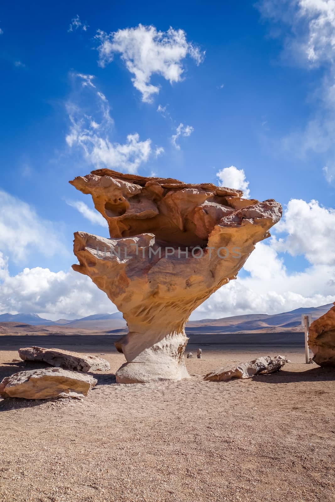 Arbol de Piedra in Siloli desert, sud Lipez reserva, Bolivia by daboost