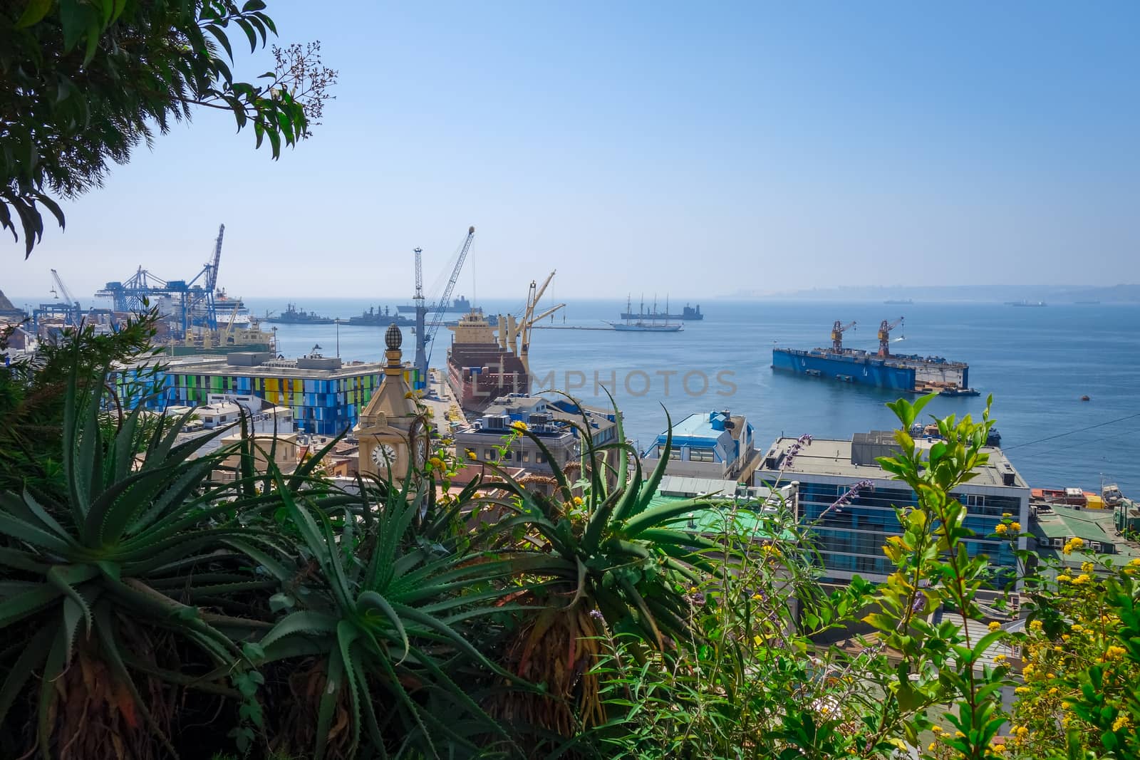 Valparaiso harbor, Chile by daboost