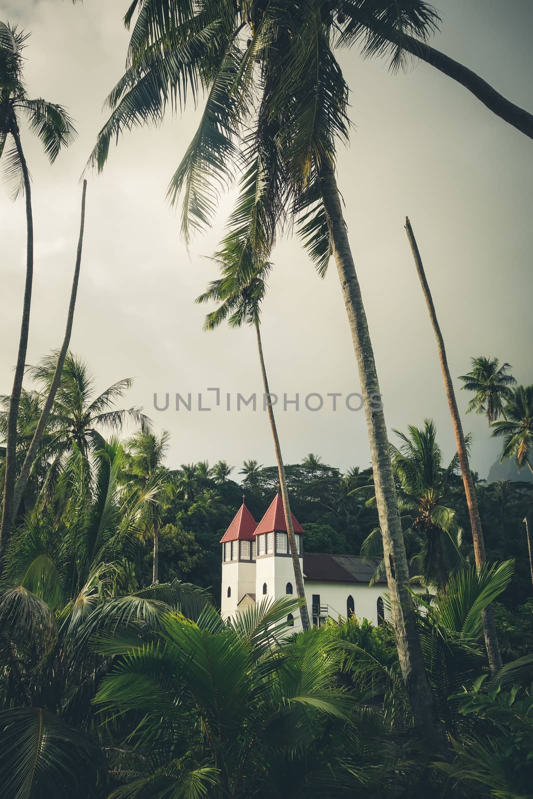 Haapiti church in Moorea island jungle, landscape. French Polynesia