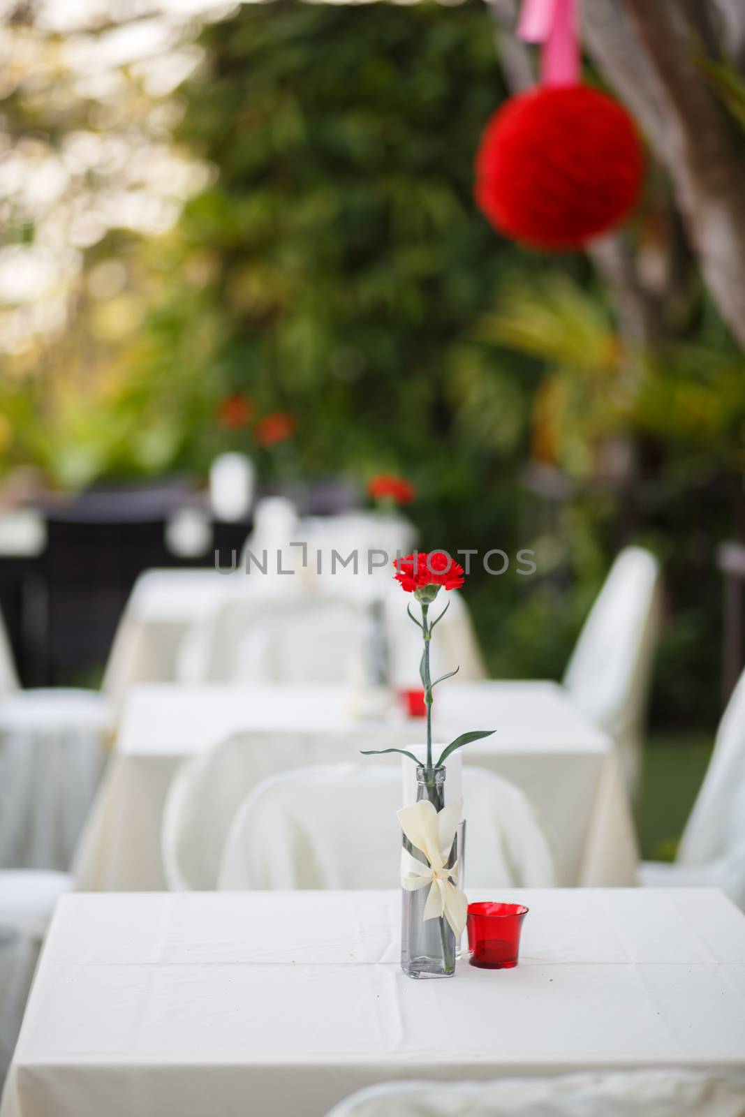 Beautiful red carnation flower in glass jar