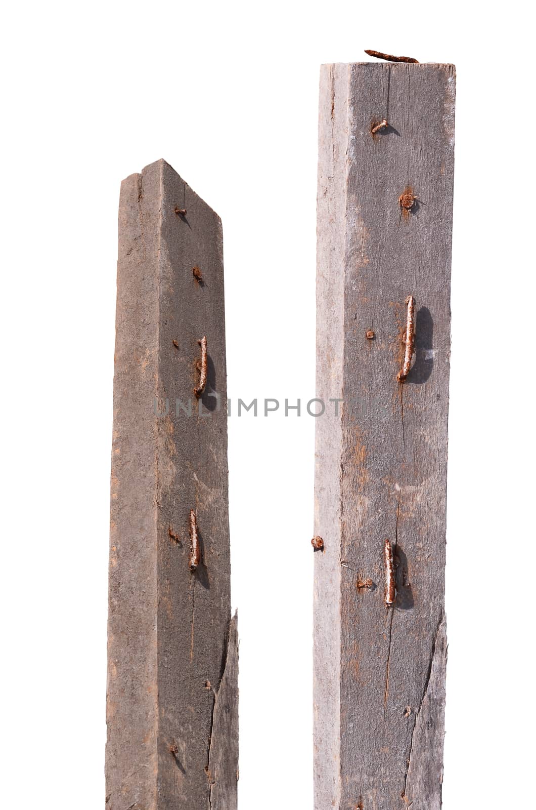 rusty nail on crack wood isolated on white background clipping path