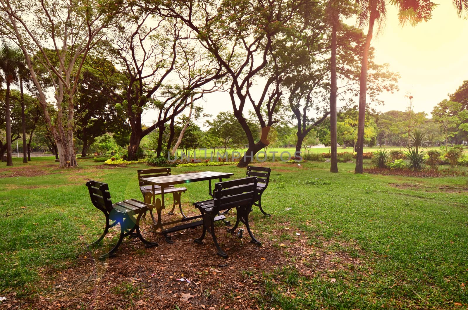 Park benches, nature resting benches by phochi