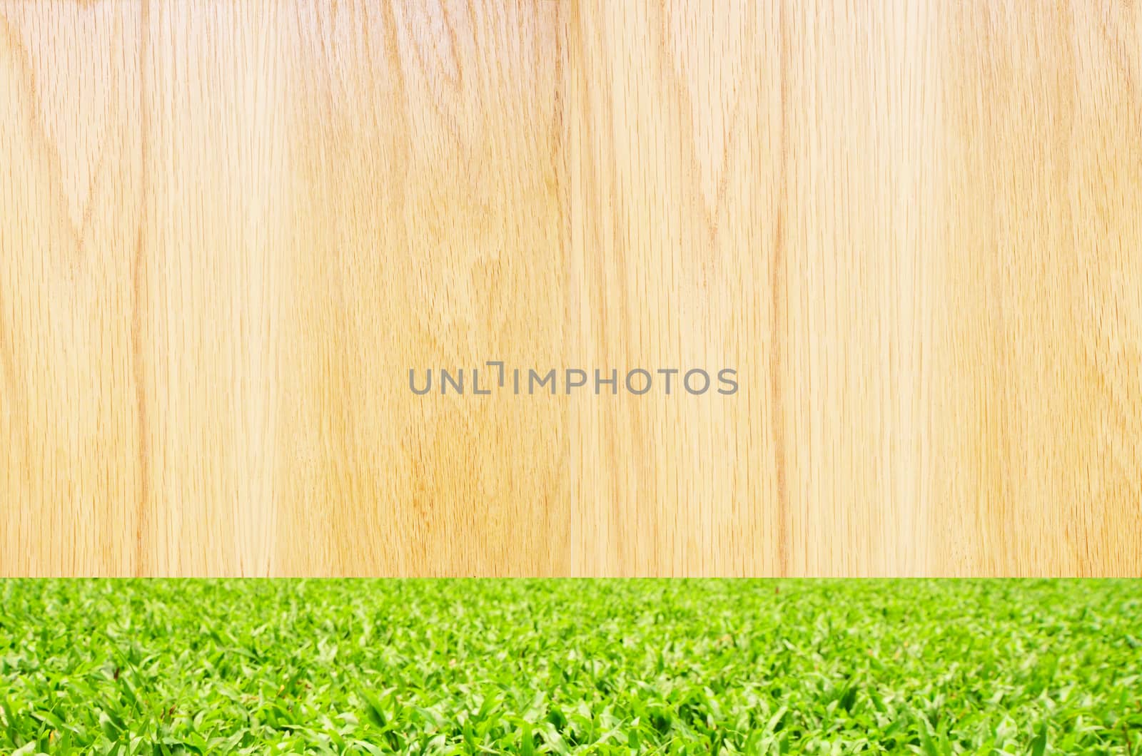 brown wooden with green grass background