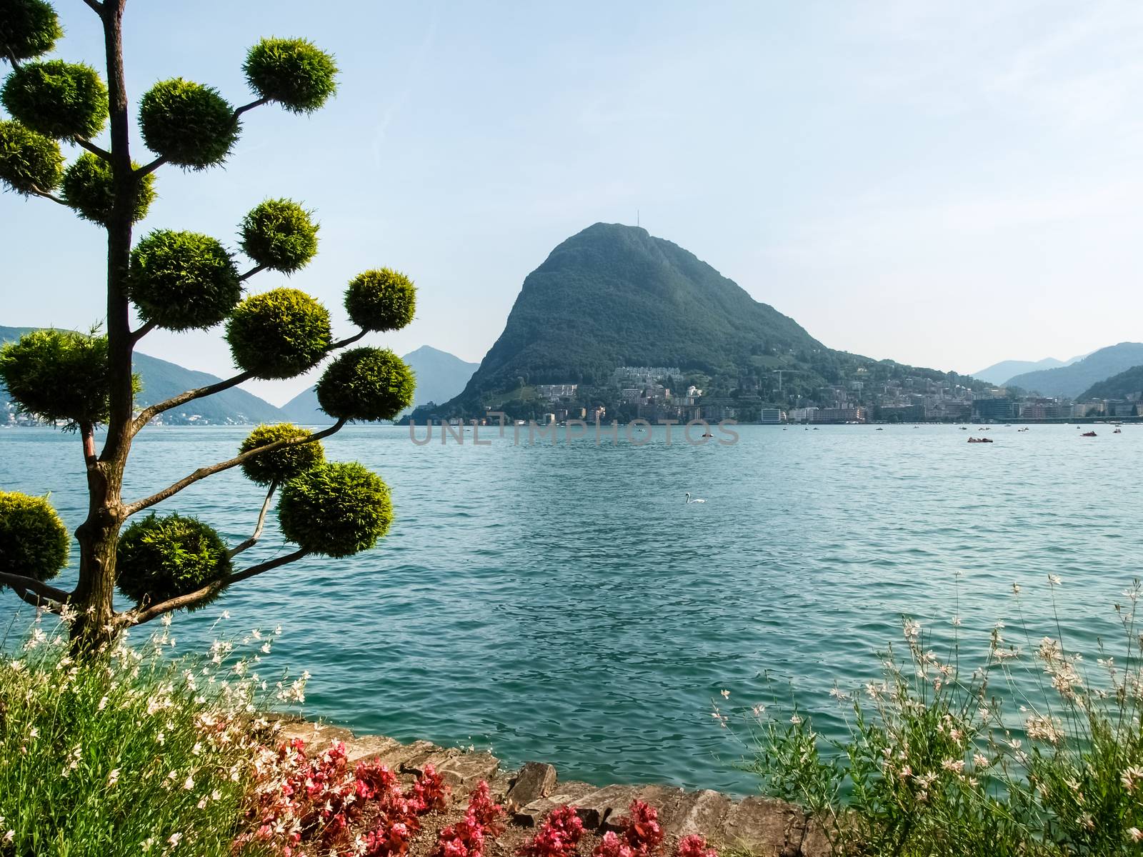 Lugano, Switzerland: Images of the Gulf of Lugano and Ciani park, botanical park of the city.