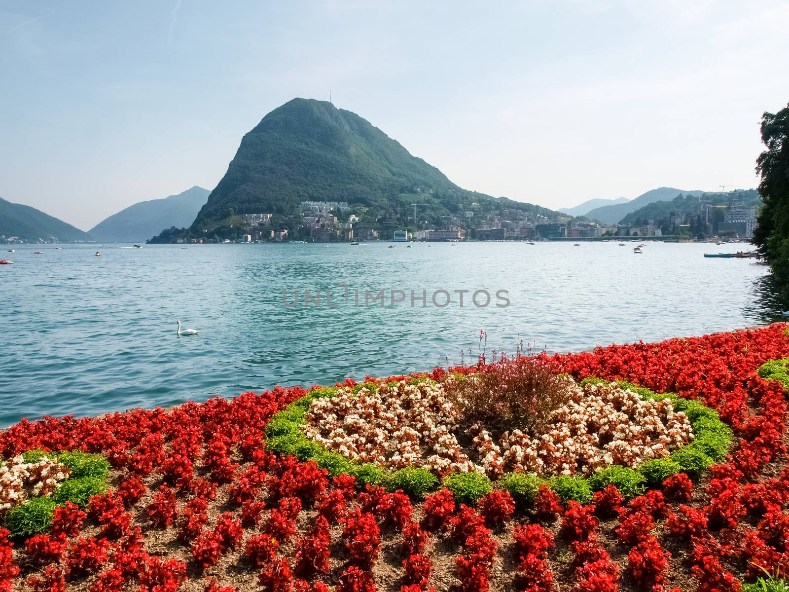 Lugano, Switzerland: Images of the Gulf of Lugano and Ciani park, botanical park of the city.