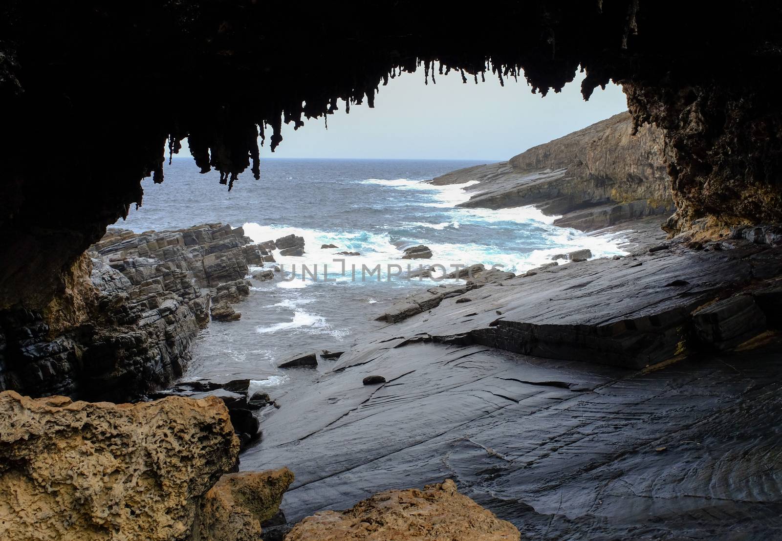 The cave of Admirals Arch on Kangaroo Island, South Australia.