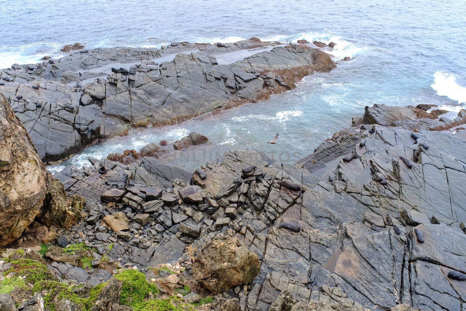 Rock and waves on the sea at rainy day in Kangaroo Island, South Australia.