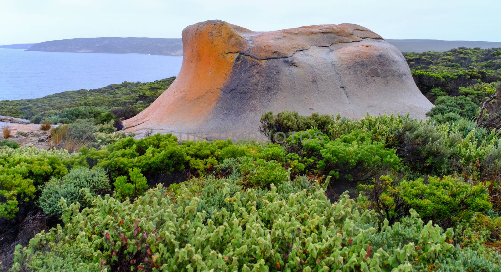 Rock and trees in Kangaroo Island, Australia by travellens