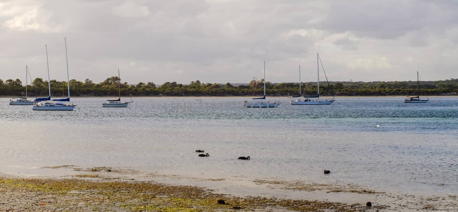 Sailboats docking on the sea at the sunny day in summer