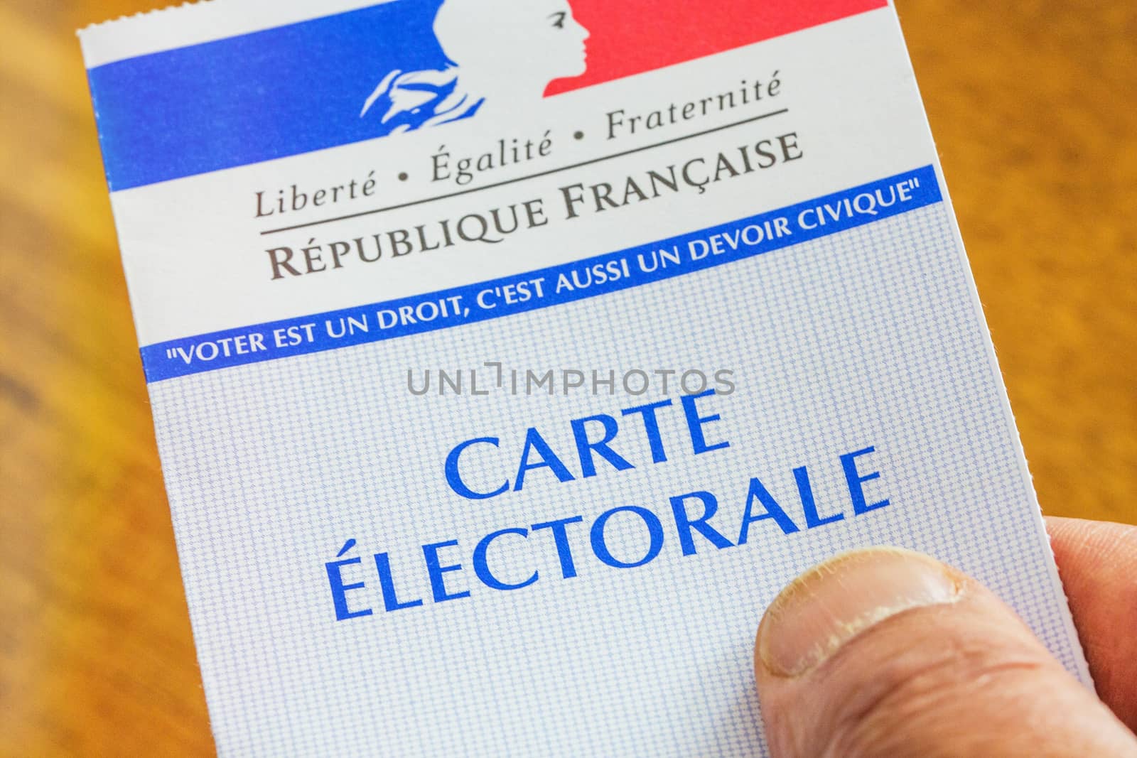 French electoral card for 2017 presidential and legislatives elections