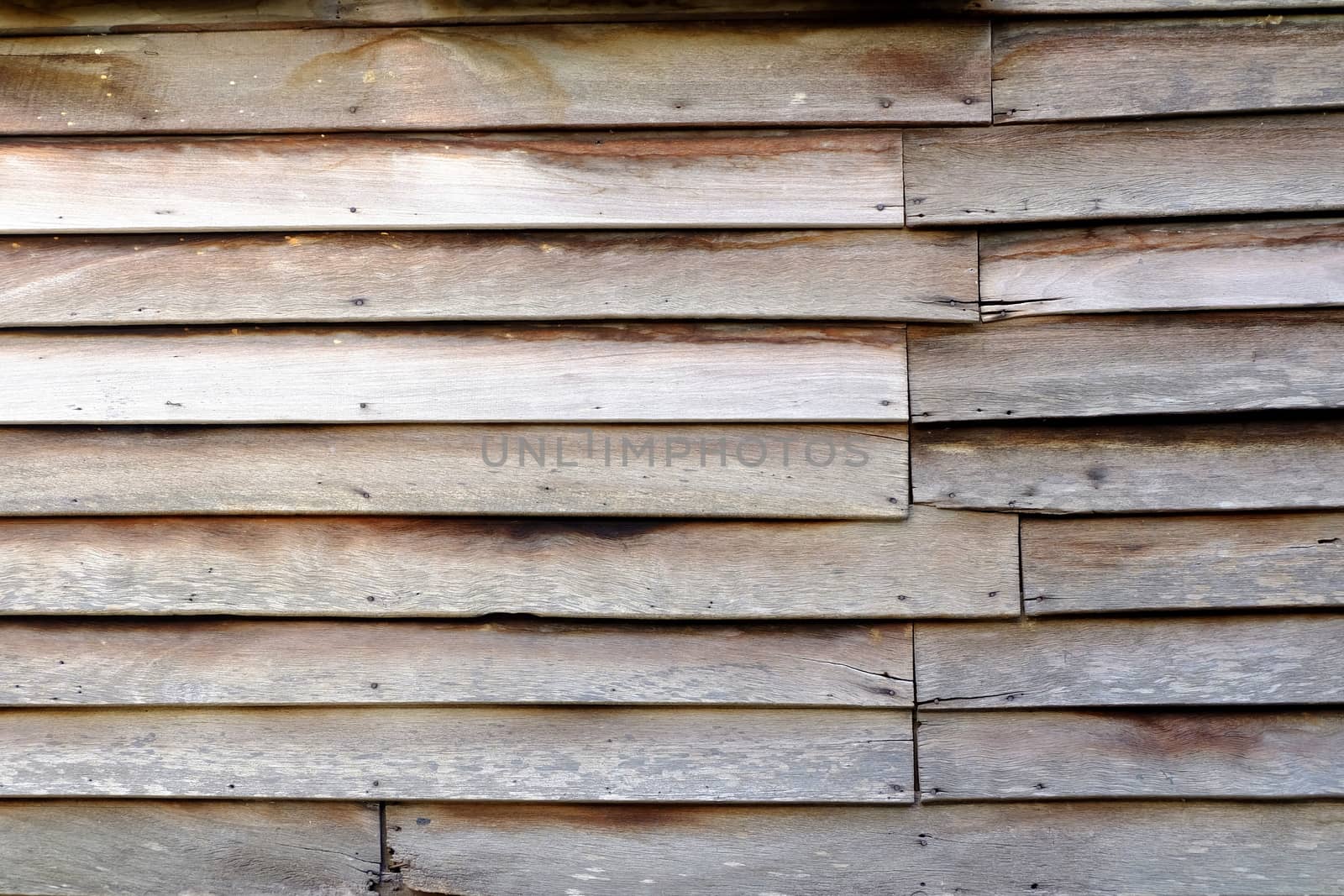 Wood Wall Background. by mesamong