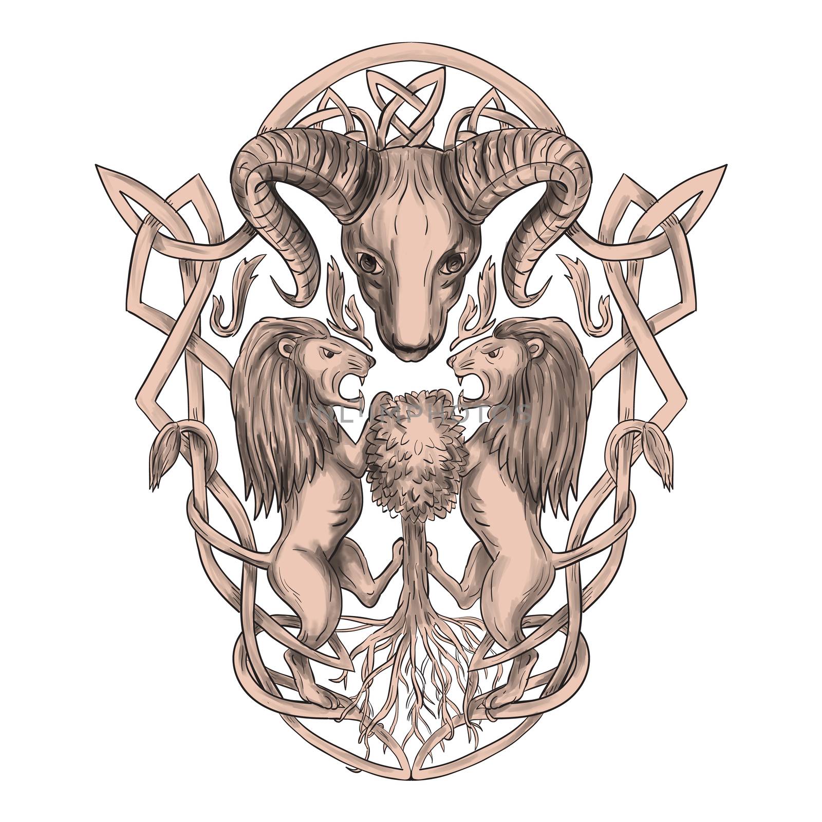 Bighorn Sheep Lion Tree Coat of Arms Celtic Knotwork Tattoo by patrimonio