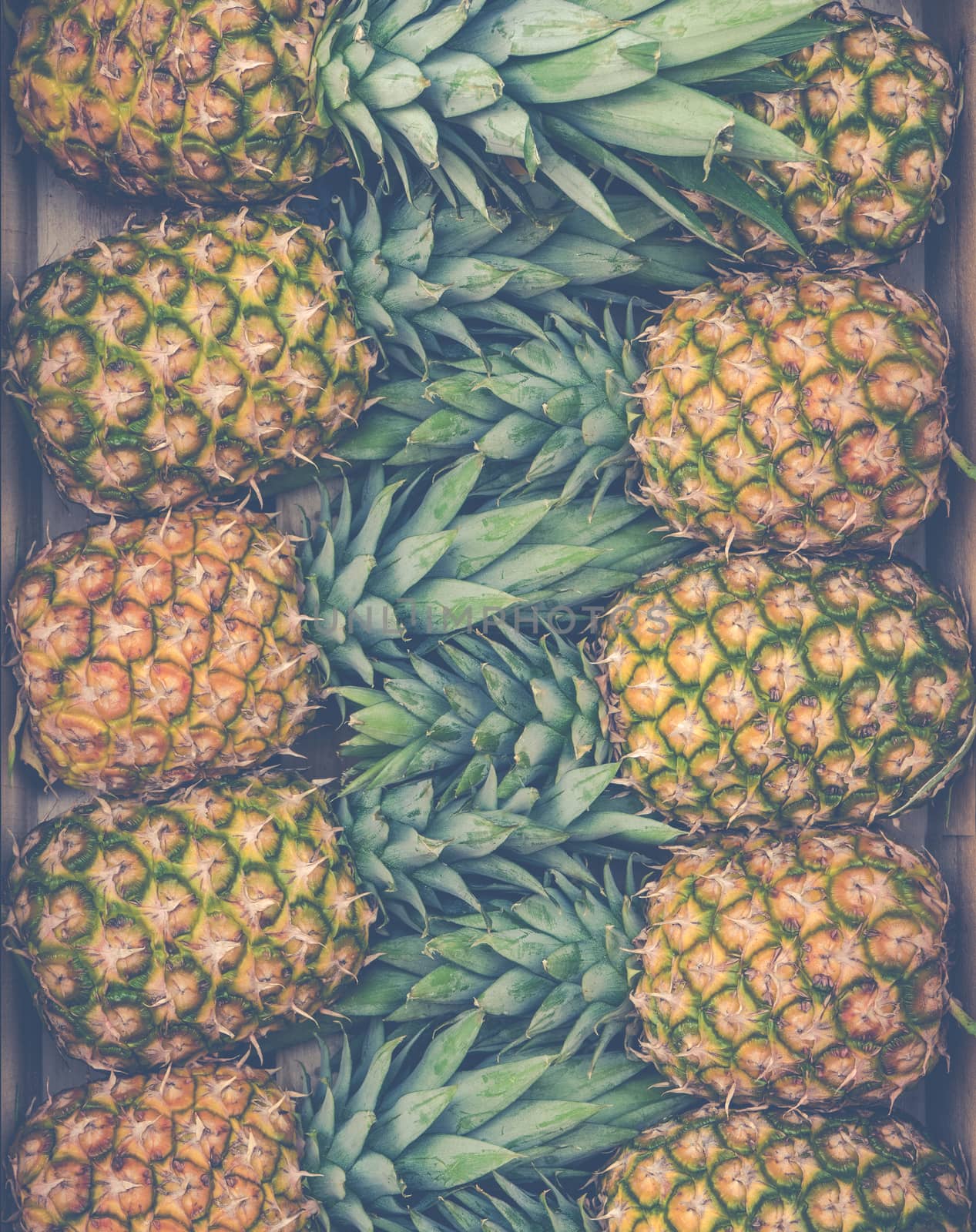 Fresh Market Pineapples by mrdoomits