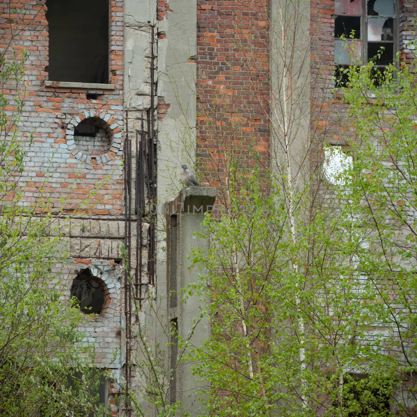 ruins of a very heavily polluted industrial factory, industrial series