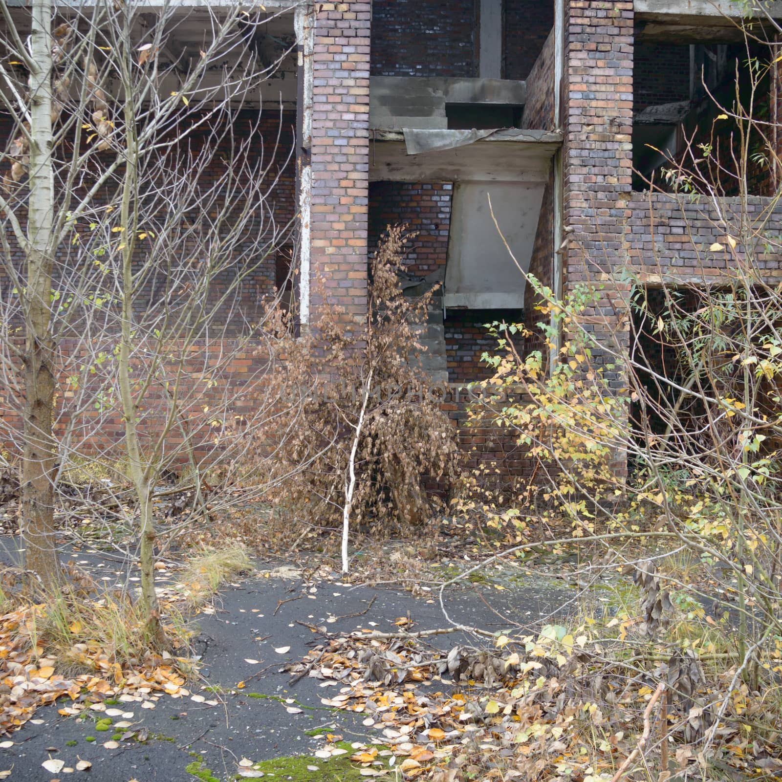 ruins of a very heavily polluted industrial factory, industrial series