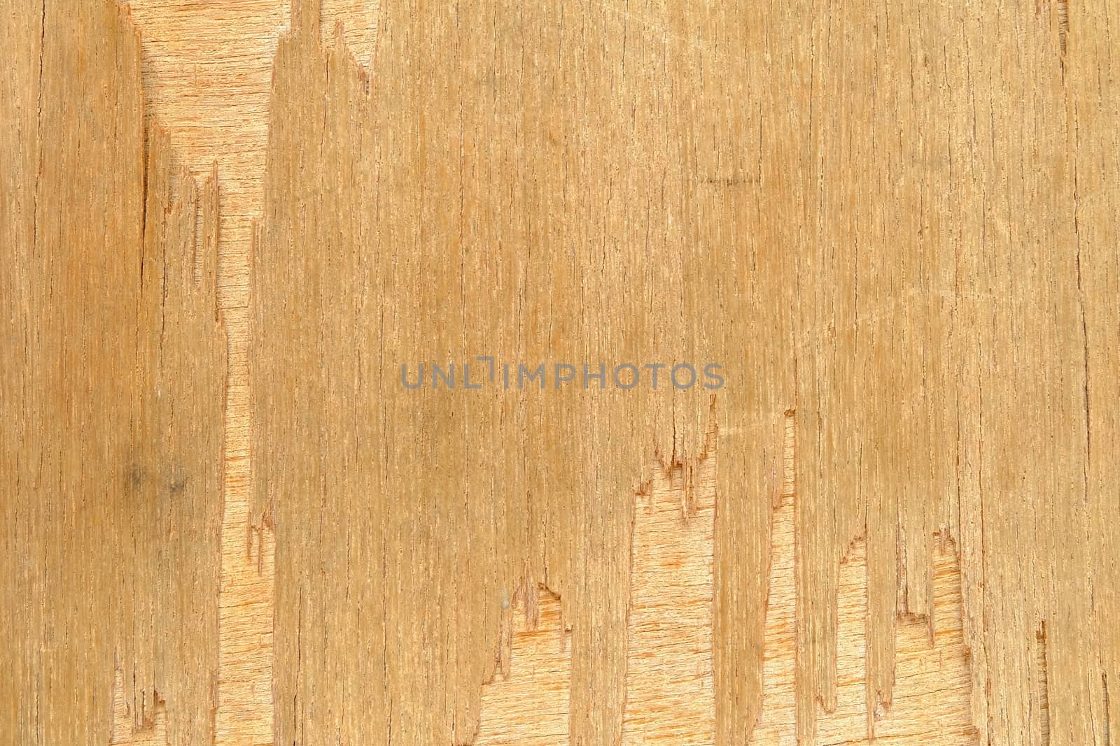 Weathered Wood Texture Background.