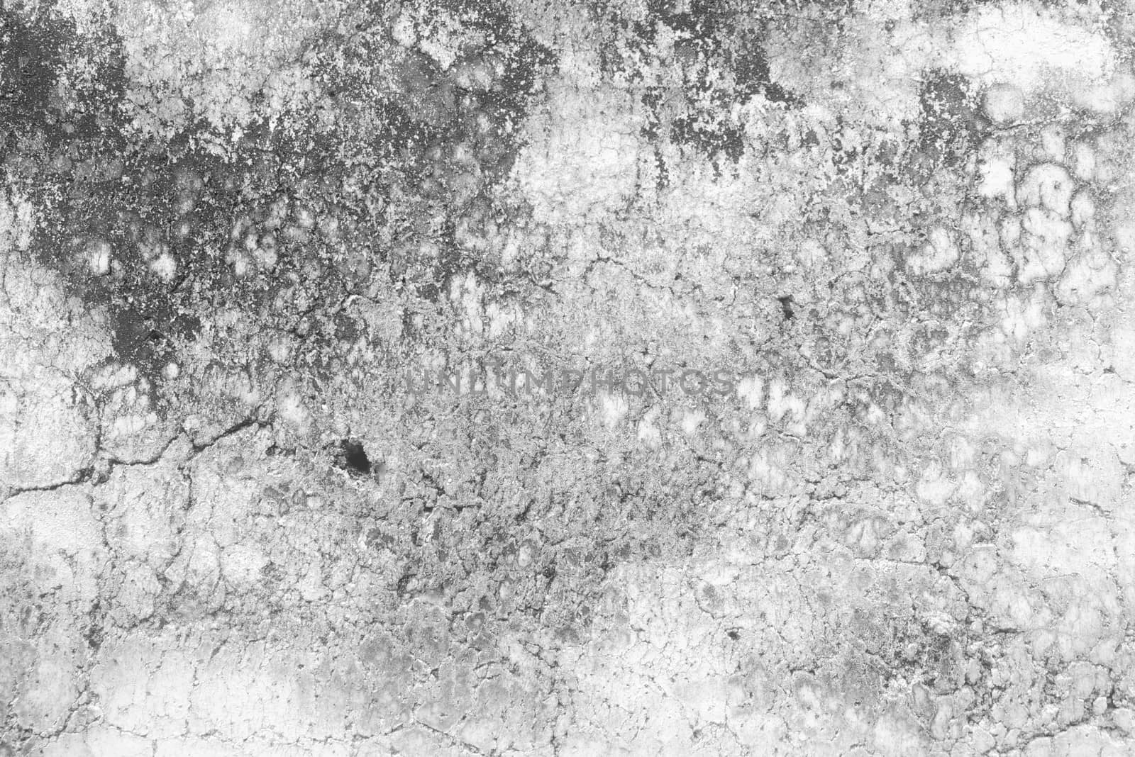 Grunge Cement Wall Texture Background.