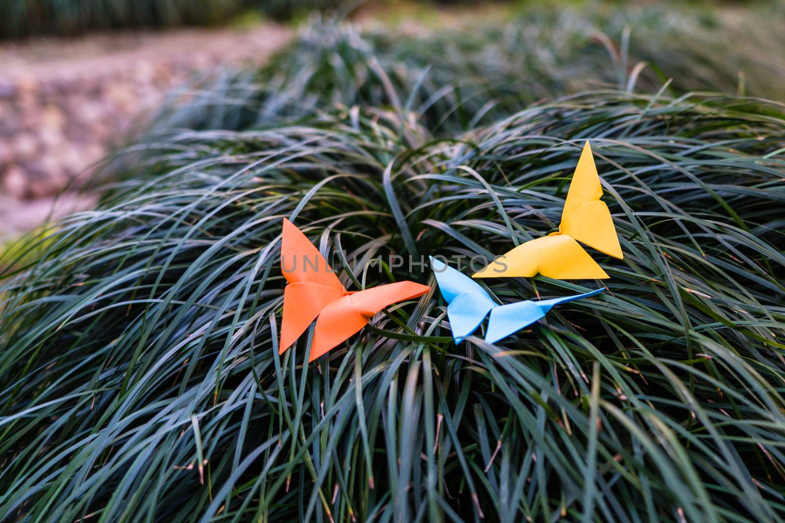 Three butterfly on the glass - paper work by psodaz