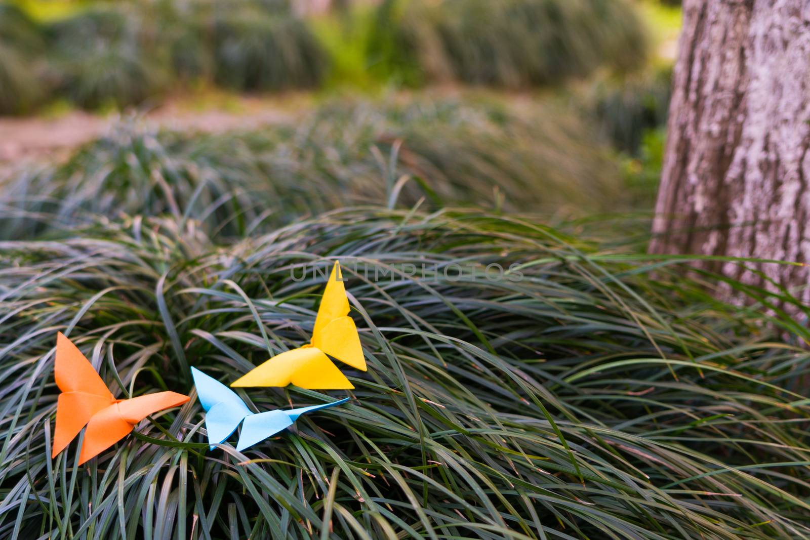 Three butterfly on the grass - paper work