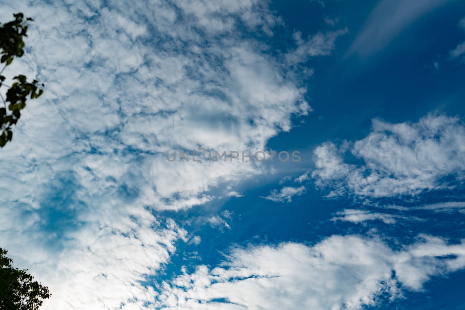blue sky with cloud on sunny day