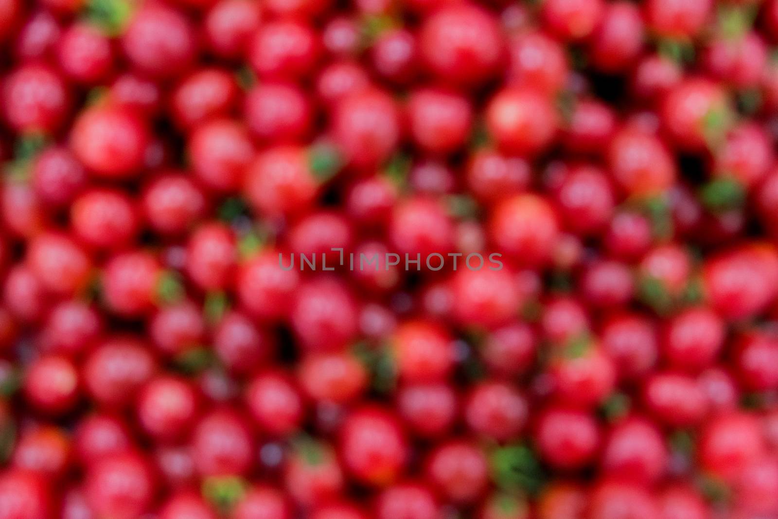 Organic fresh cherry tomato by psodaz