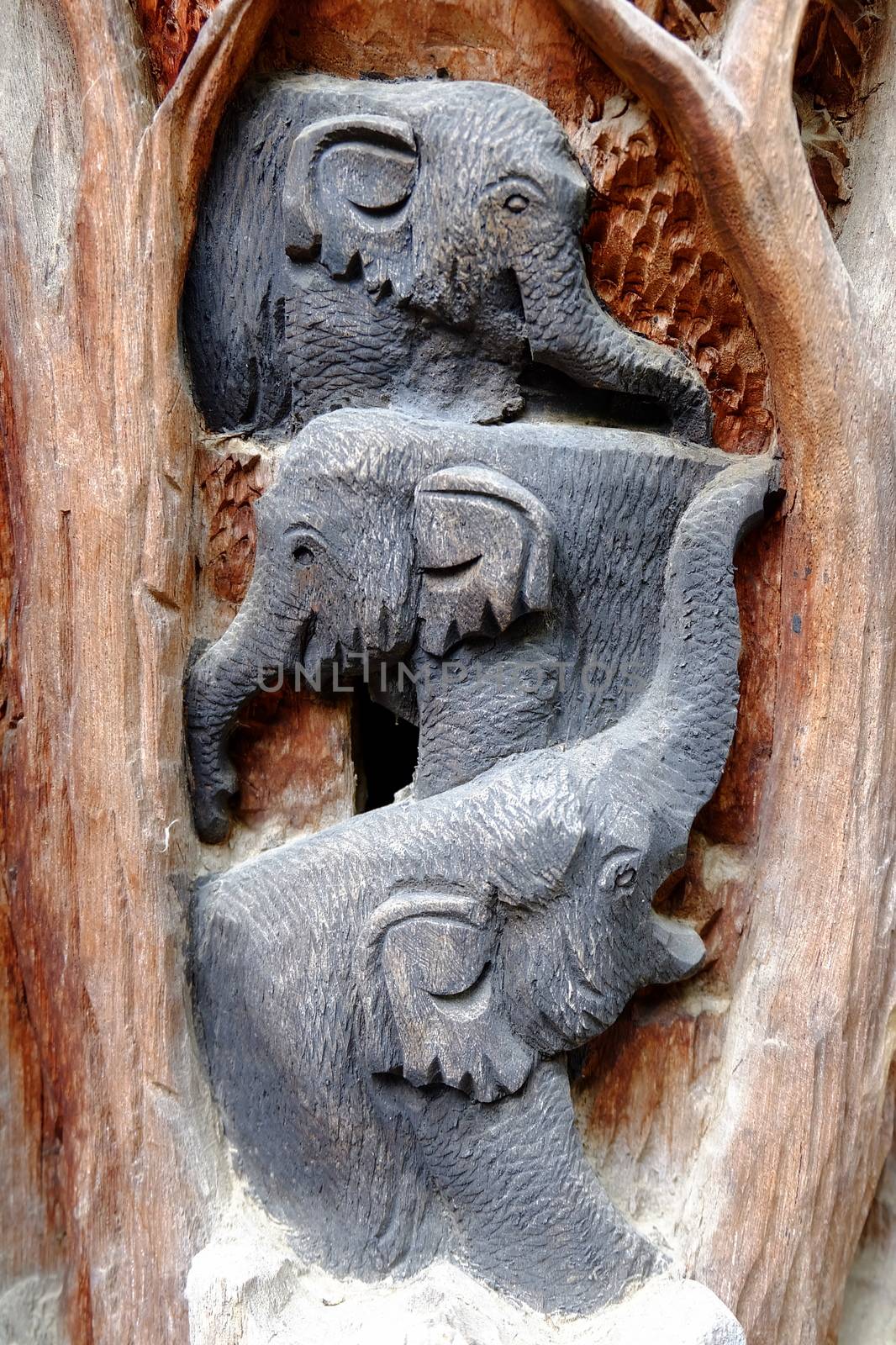 Wood Craved Elephant. by mesamong