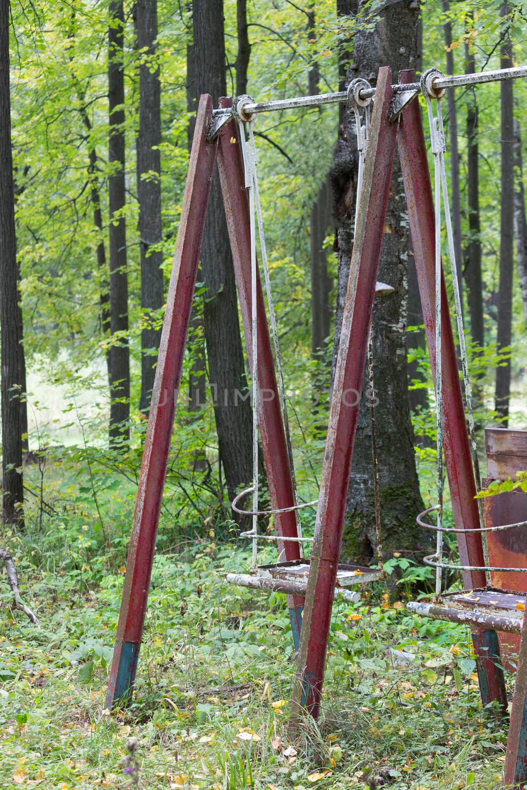 old rustic swing in a park. vertical image