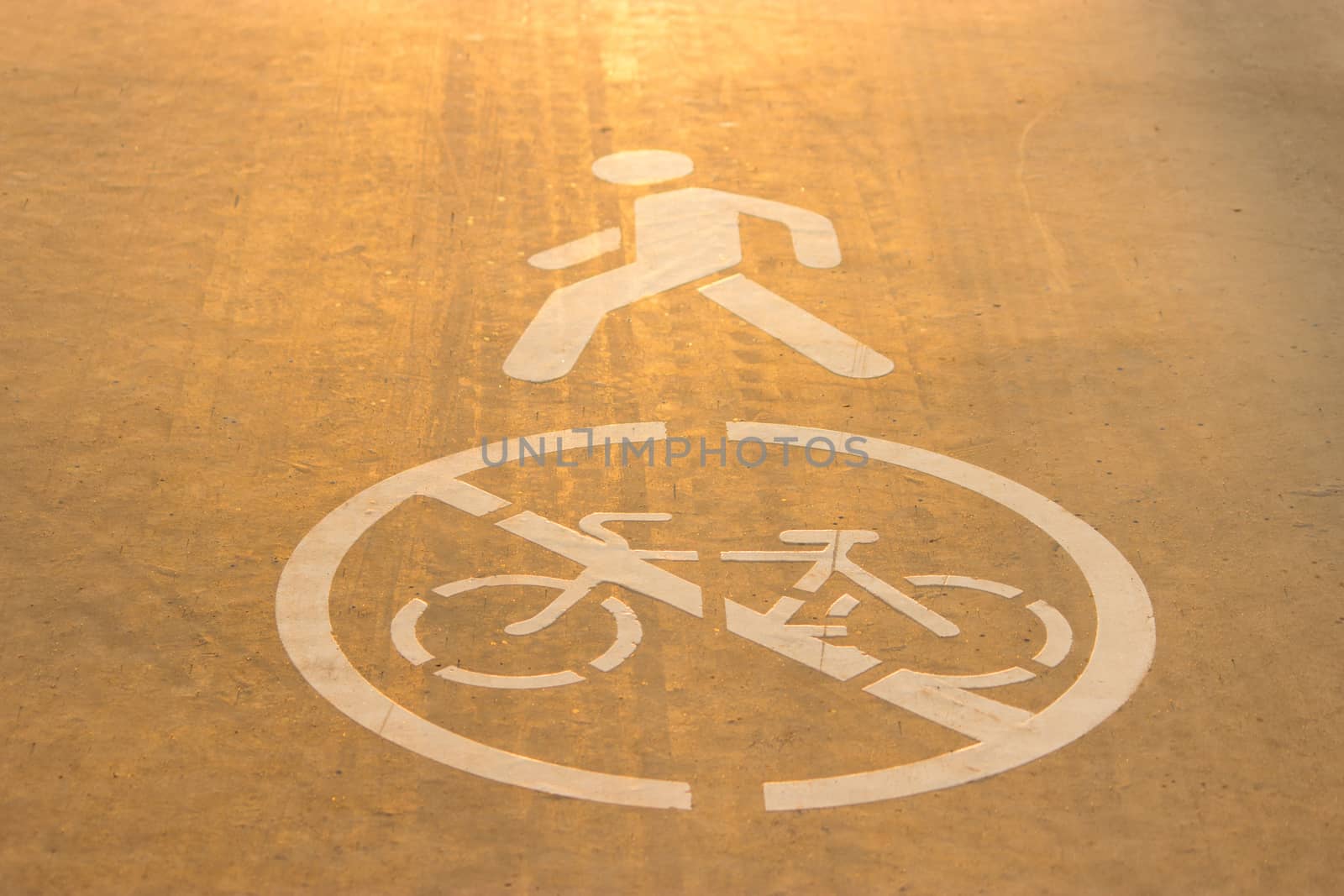 sign of a bicycle on asphalt. bicycle road concept