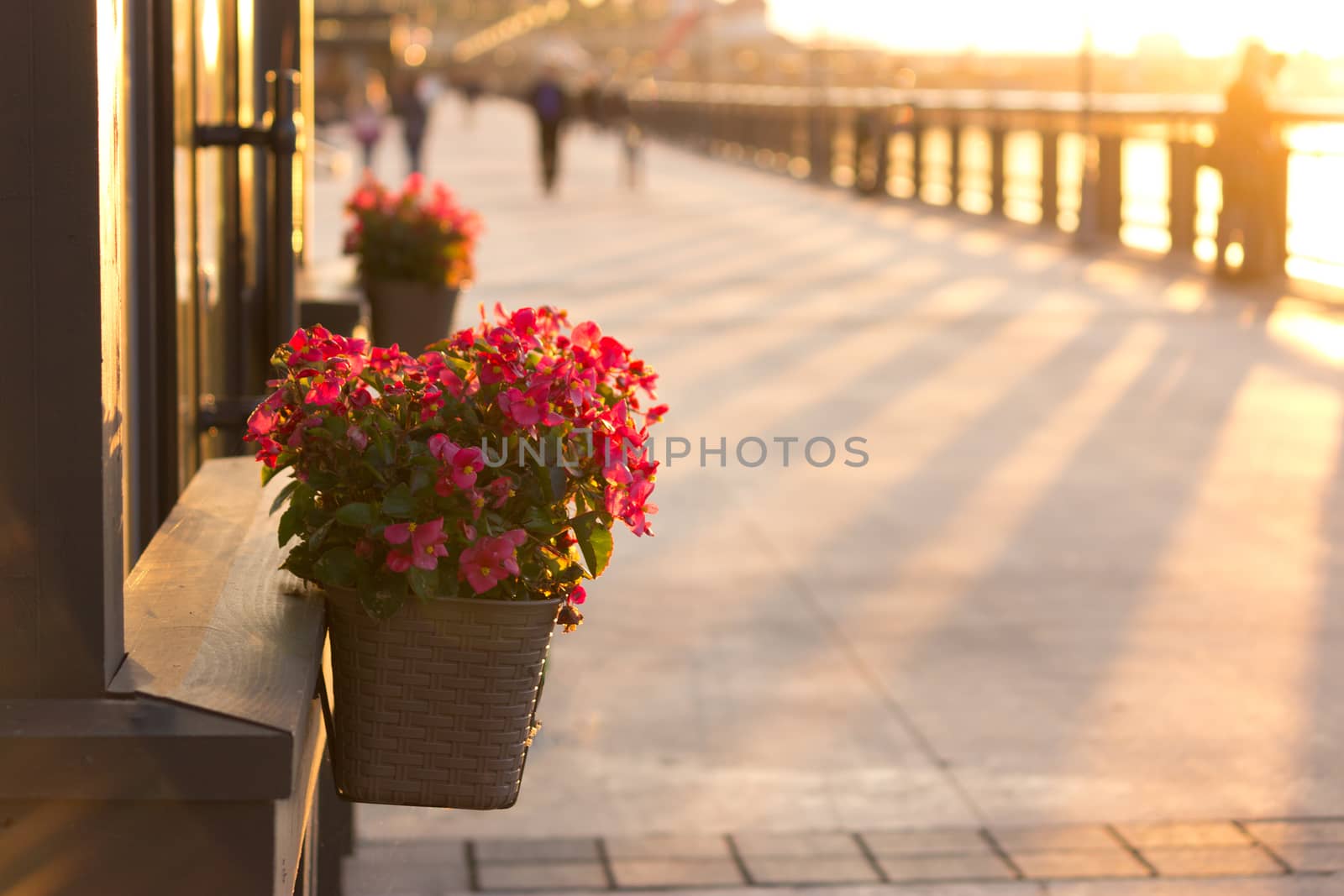 Flower Pots Outdoor by liwei12