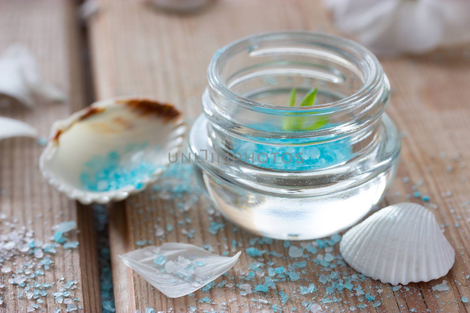 Spa beauty product. sea sult. shells and flowers