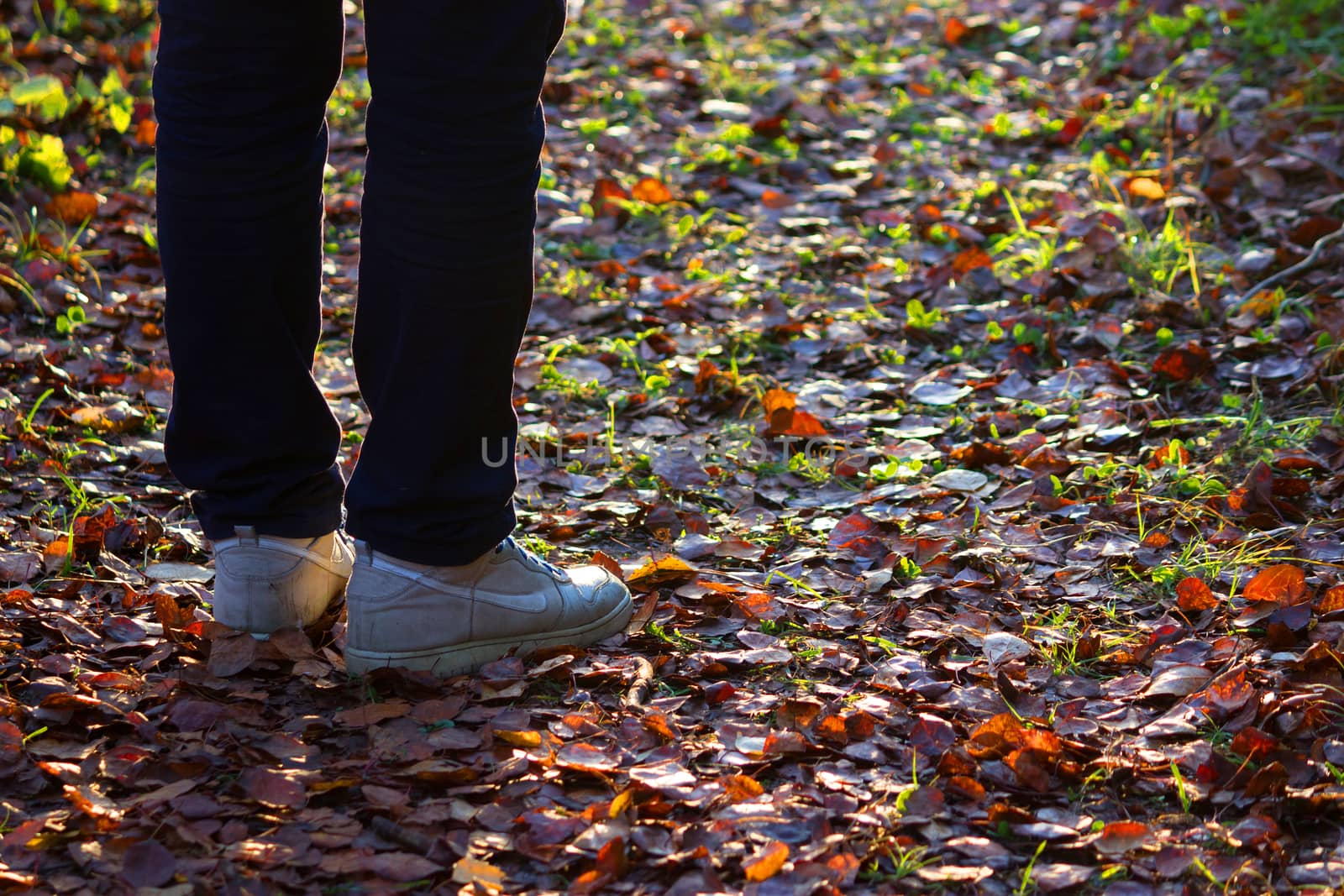 Feet sneakers walking on fall leaves by liwei12