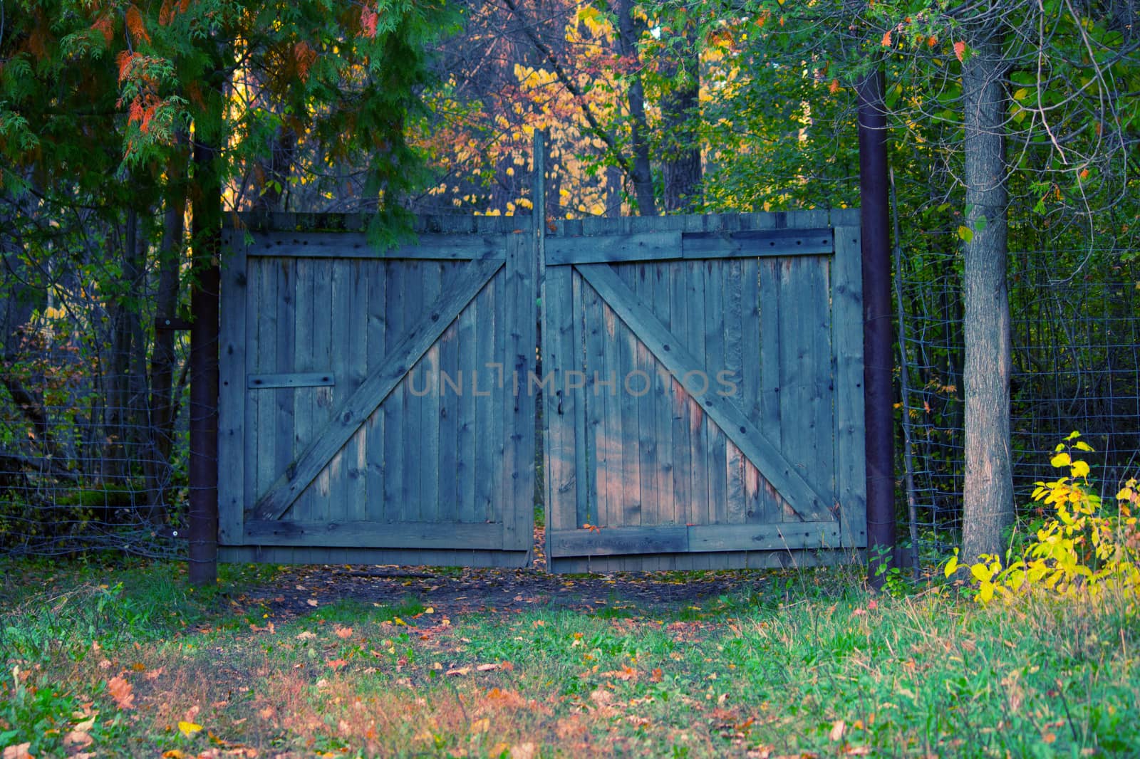 wooden closed gate in an forest. secure territory