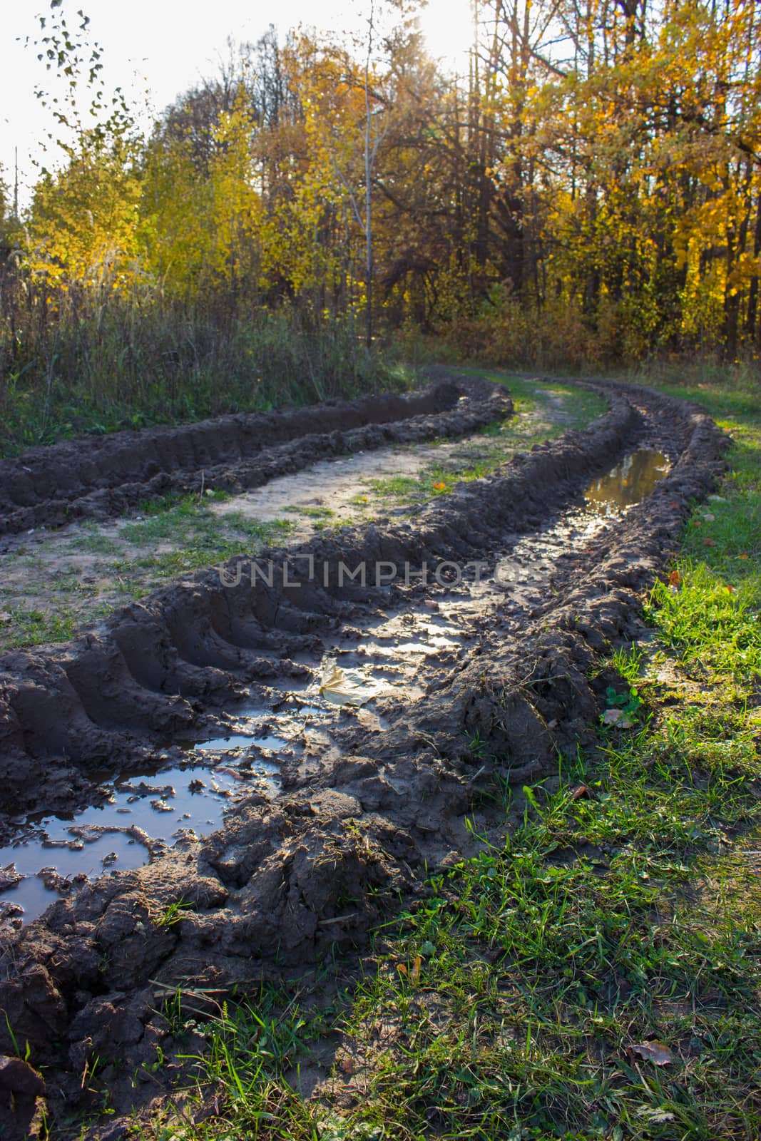 Messy rural dirt road after rain with deep tire tracks