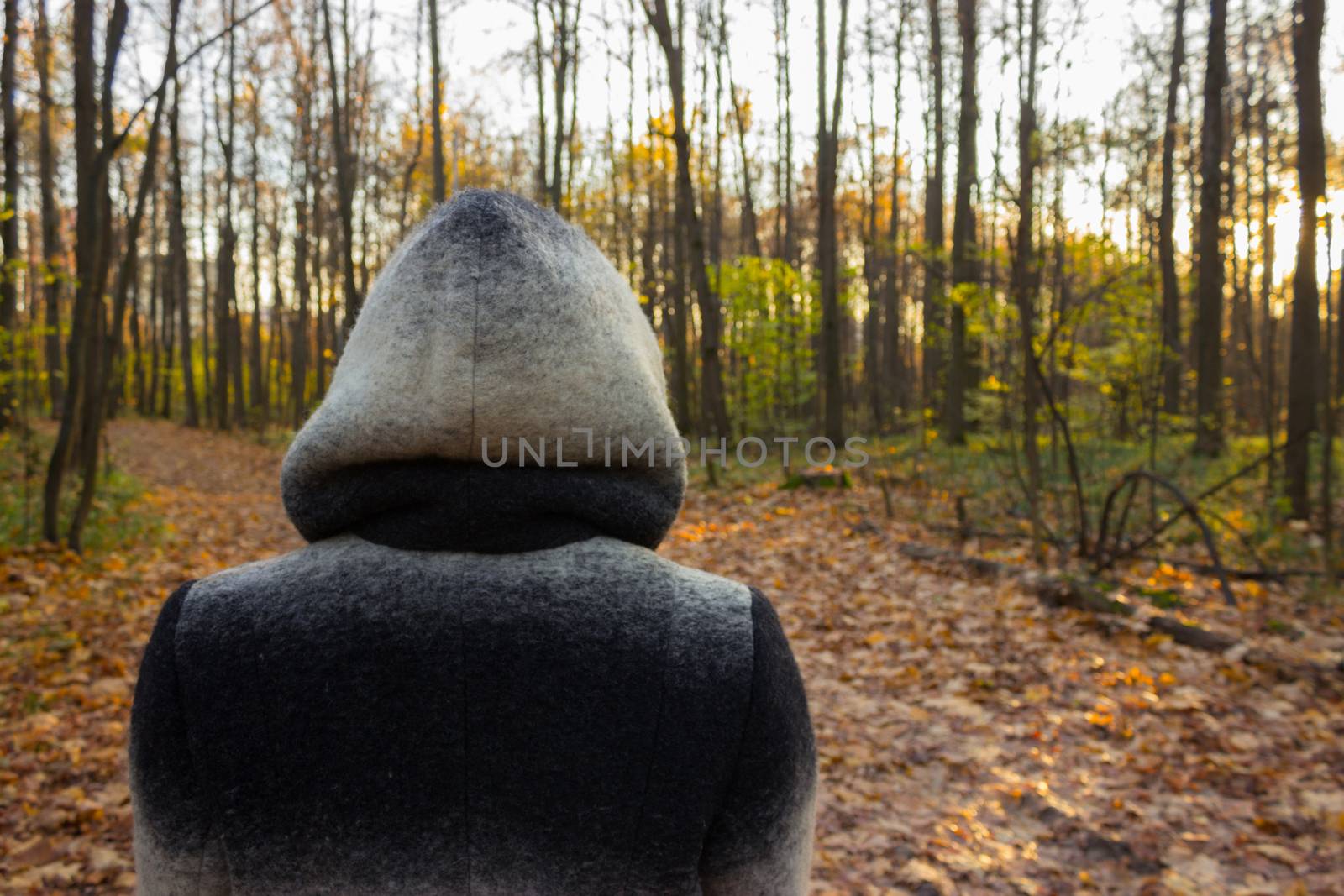 woman in a hood. mystic forest background. hallooween