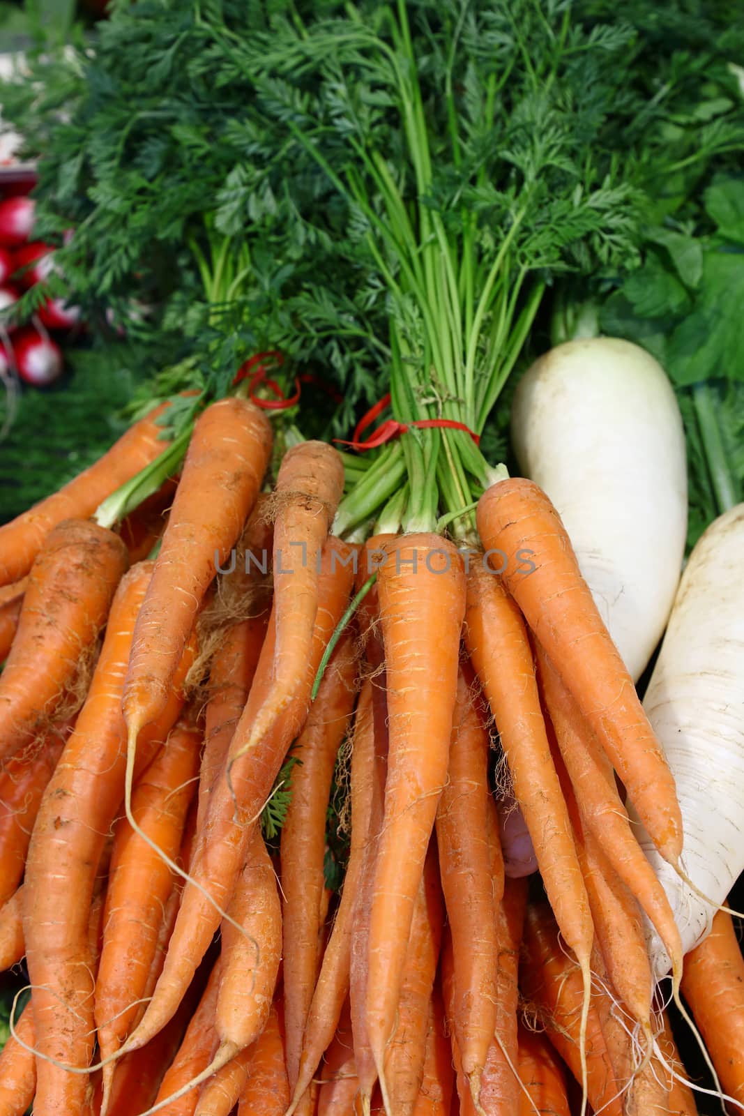 Bunches of fresh new spring orange carrots with green top leaves on retail market stall display, close up, high angle view