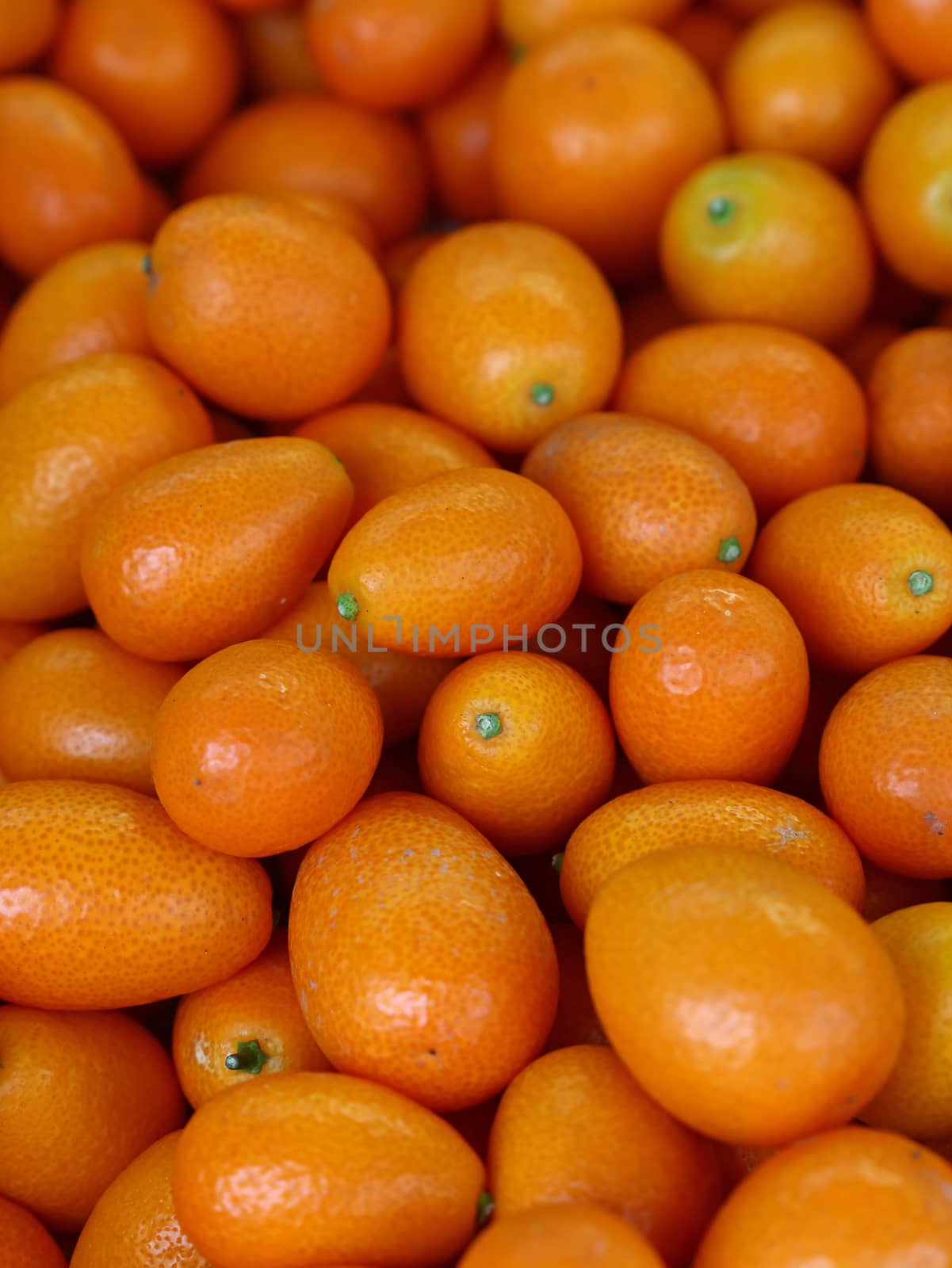 Fresh ripe orange cumquat citrus fruits on retail market display, close up, high angle view