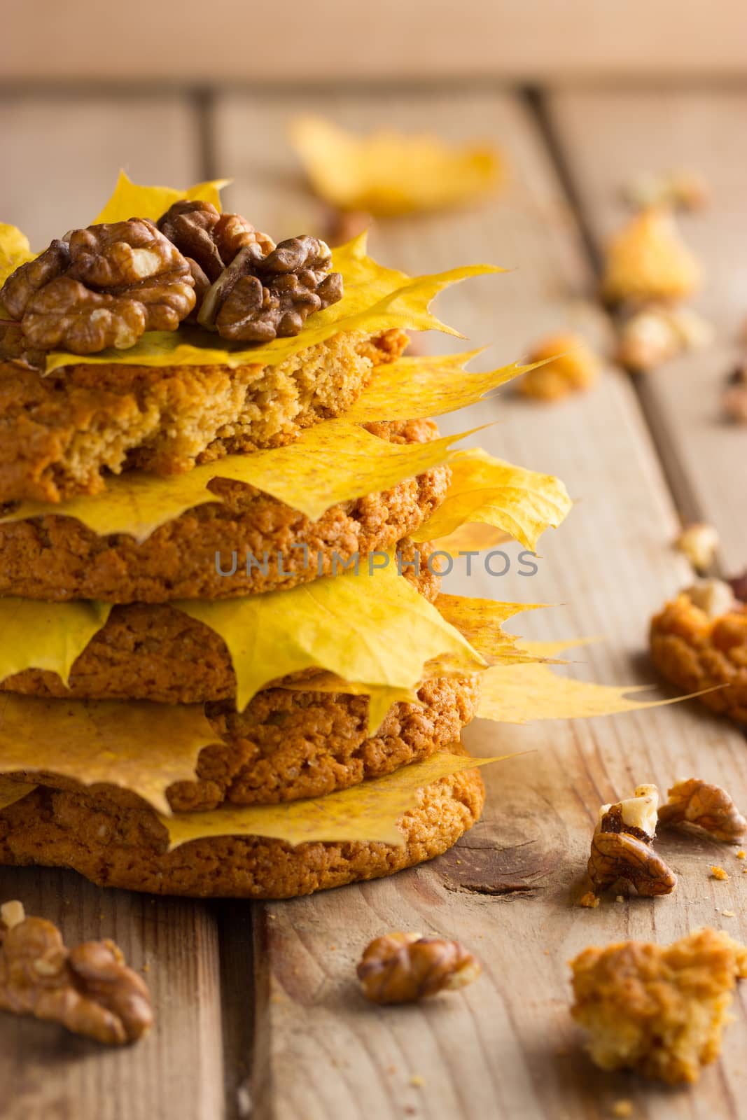 Autumn candy bar. Rustic autumn chocolate chip cookies.