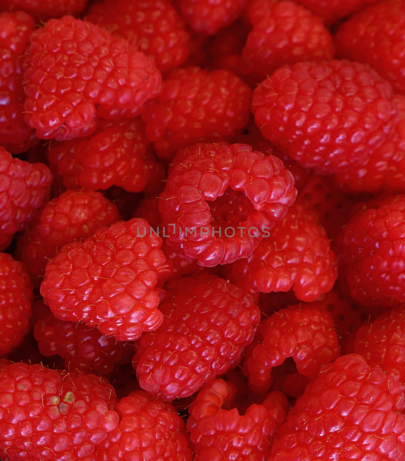 Close up of fresh red ripe raspberries background pattern, high angle view