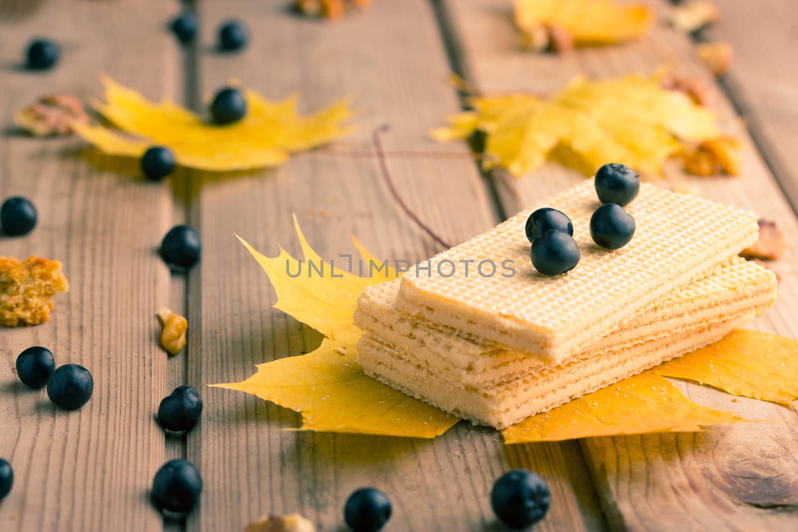 Autumn candy bar. Rustic autumn chocolate chip cookies.