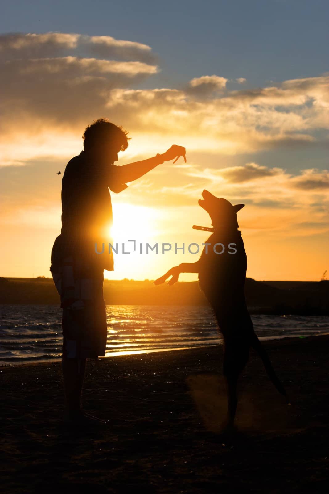 Young man with his dog in nature - back lit