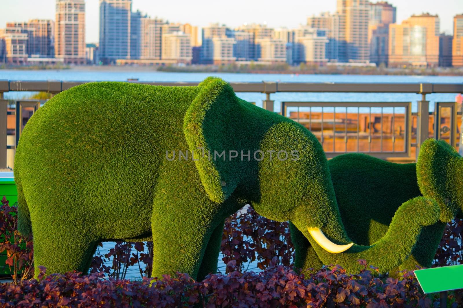 green elephants made by clipping trees. Kazan, Russia