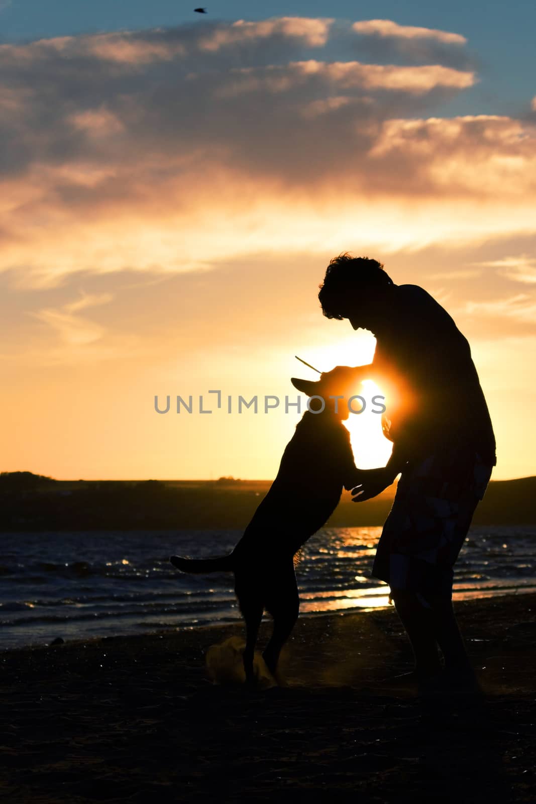 Young man with his dog in nature - back lit