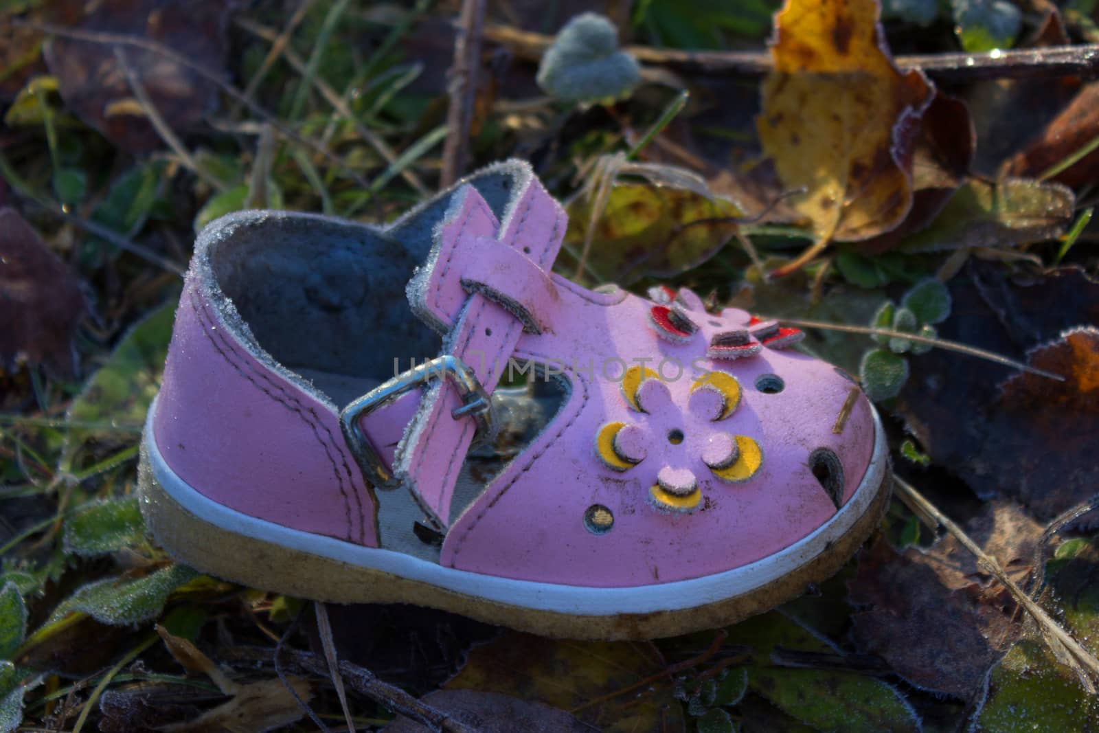 pink shoe for baby girl on ground of Autumn leaves