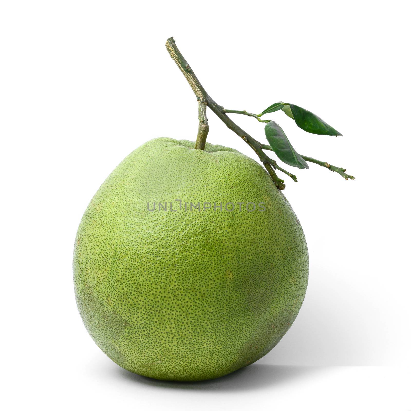 pomelo tropical fruit isolated on white background