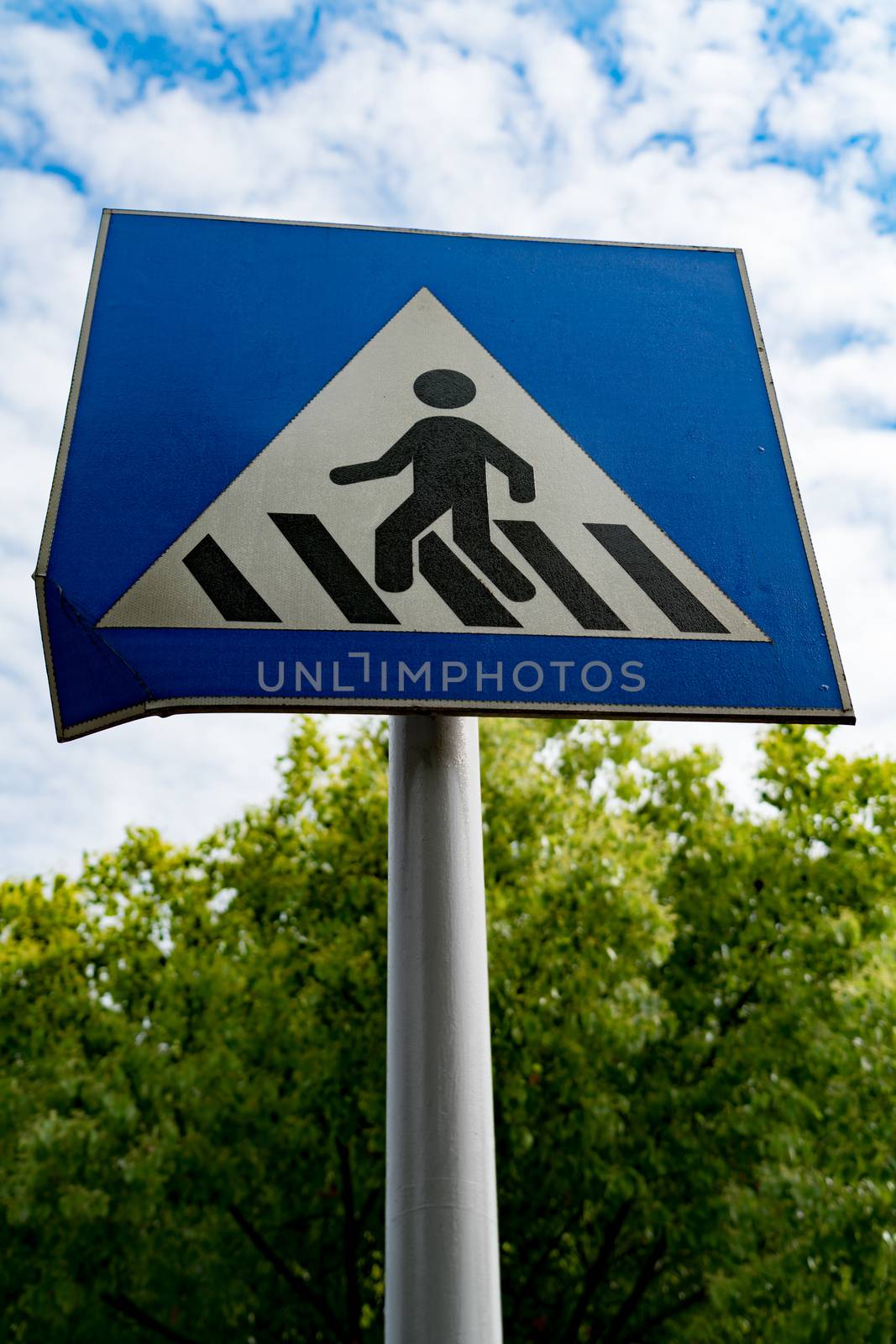 pedestrian sign or crosswalk sign with blue sky and green tree